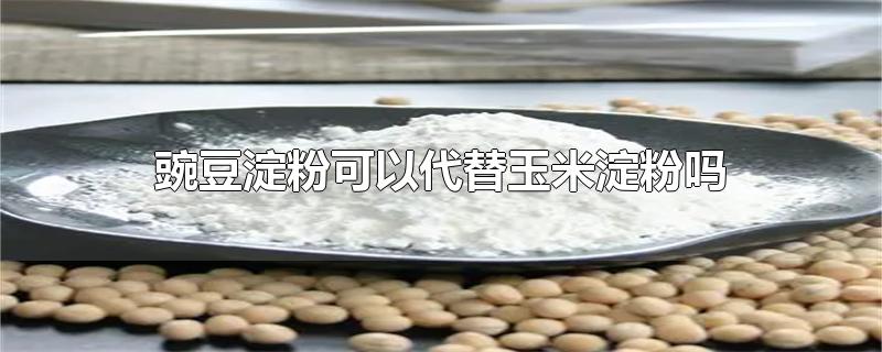 豌豆淀粉可以代替玉米淀粉吗-最新豌豆淀粉可以代替玉米淀粉吗整理解答