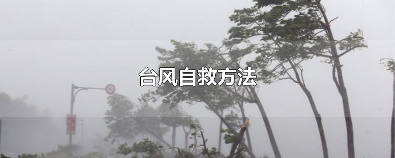 台风自救方法