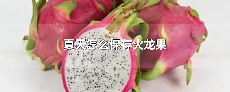 夏天怎么保存火龙果