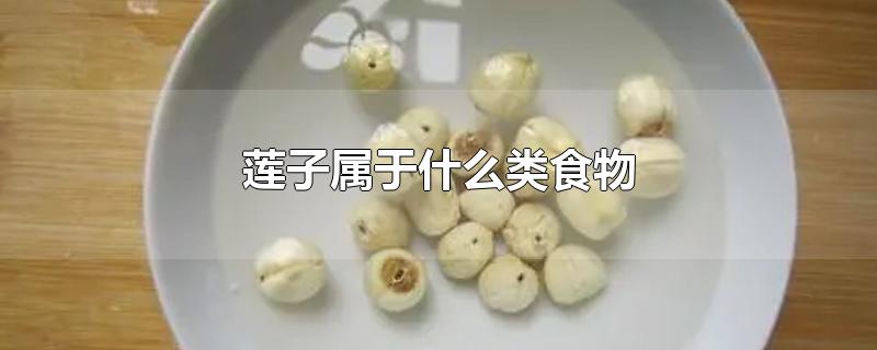 莲子属于什么类食物-最新莲子属于什么类食物整理解答