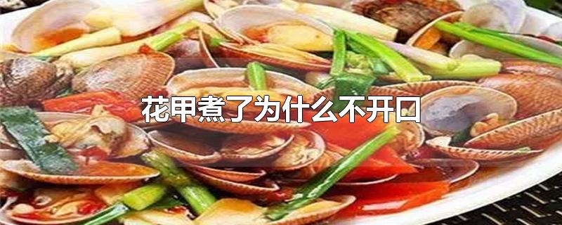 花甲煮了为什么不开口-最新花甲煮了为什么不开口整理解答