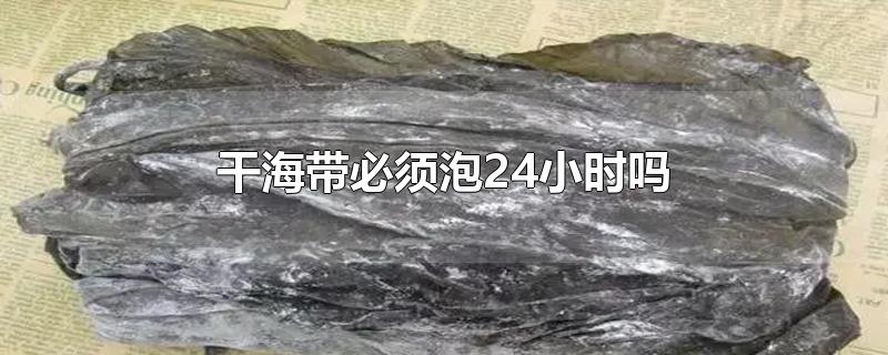 干海带必须泡24小时吗