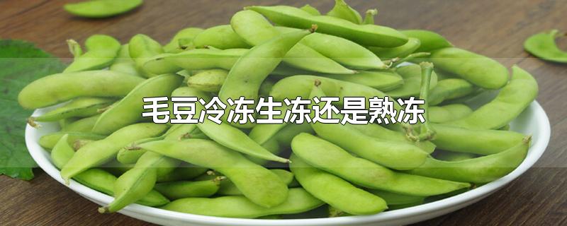 毛豆冷冻生冻还是熟冻-最新毛豆冷冻生冻还是熟冻整理解答