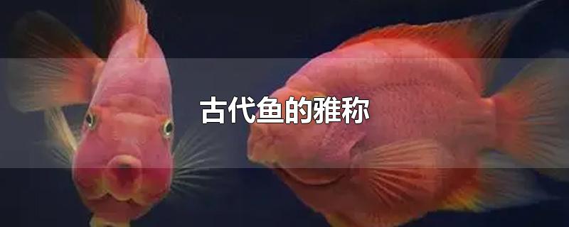 古代鱼的雅称