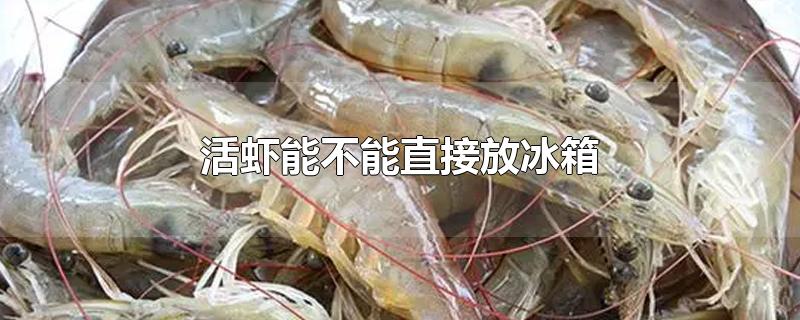 活虾能不能直接放冰箱