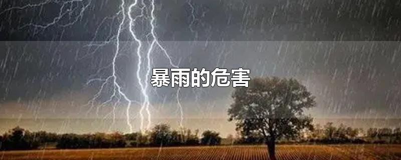 暴雨的危害