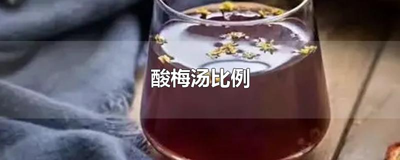 酸梅汤比例