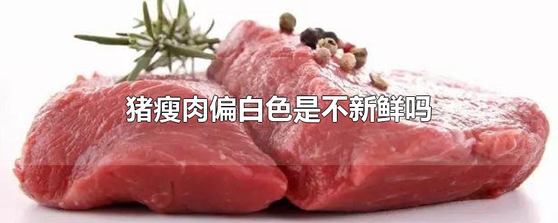 猪瘦肉偏白色是不新鲜吗-最新猪瘦肉偏白色是不新鲜吗整理解答