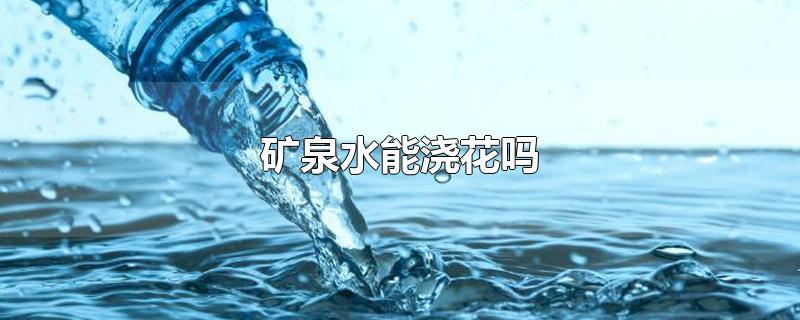 矿泉水能浇花吗