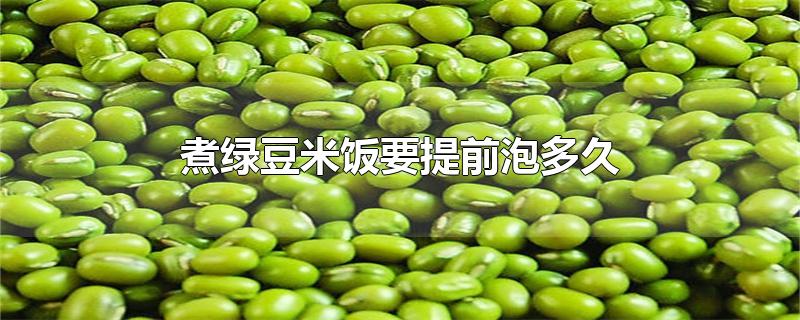 煮绿豆米饭要提前泡多久