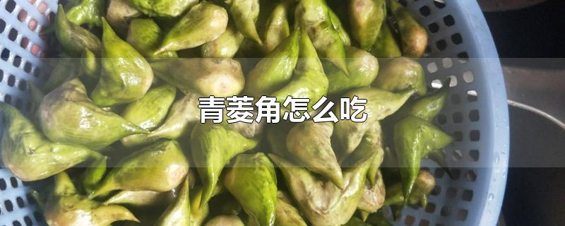 青菱角怎么吃-最新青菱角怎么吃整理解答