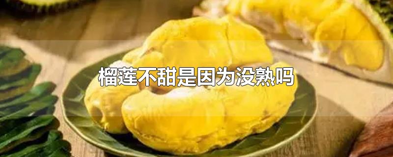 榴莲不甜是因为没熟吗-最新榴莲不甜是因为没熟吗整理解答