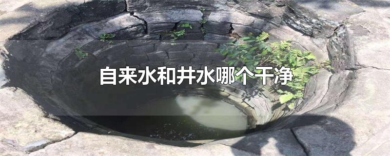 自来水和井水哪个干净