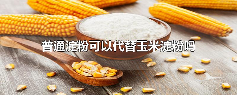 普通淀粉可以代替玉米淀粉吗-最新普通淀粉可以代替玉米淀粉吗整理解答