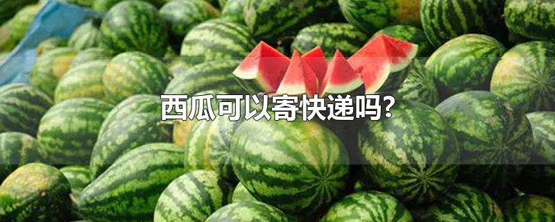 西瓜可以寄快递吗?