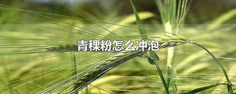 青稞粉怎么冲泡-最新青稞粉怎么冲泡整理解答