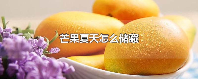 芒果夏天怎么储藏-最新芒果夏天怎么储藏整理解答