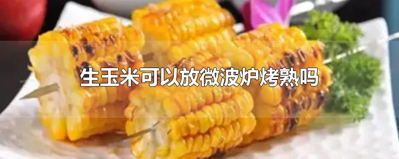 生玉米可以放微波炉烤熟吗