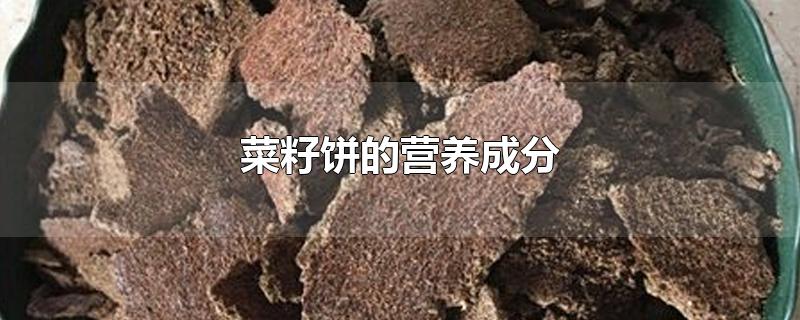 菜籽饼的营养成分-最新菜籽饼的营养成分整理解答