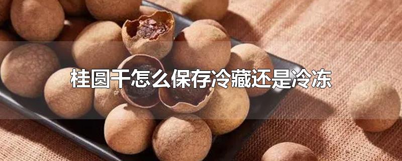 桂圆干怎么保存冷藏还是冷冻-最新桂圆干怎么保存冷藏还是冷冻整理解答