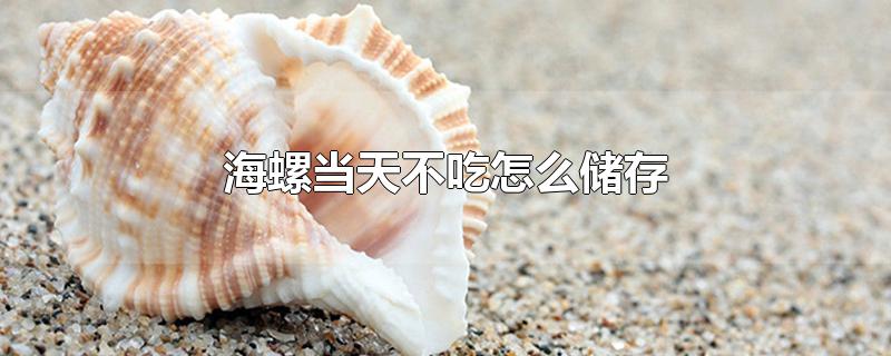 海螺当天不吃怎么储存-最新海螺当天不吃怎么储存整理解答