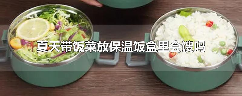 夏天带饭菜放保温饭盒里会馊吗