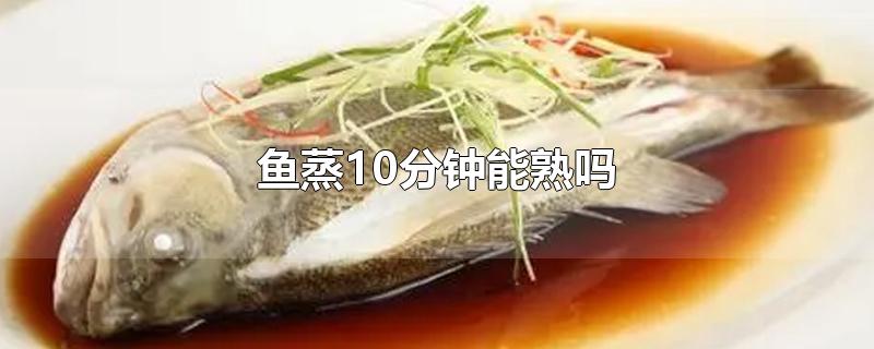 鱼蒸10分钟能熟吗-最新鱼蒸10分钟能熟吗整理解答