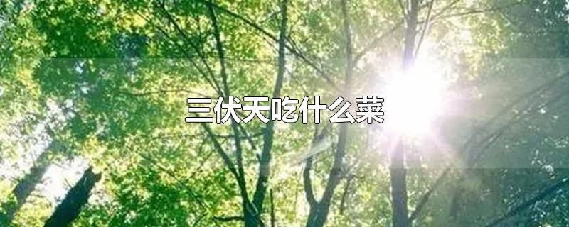 三伏天吃什么菜-最新三伏天吃什么菜整理解答