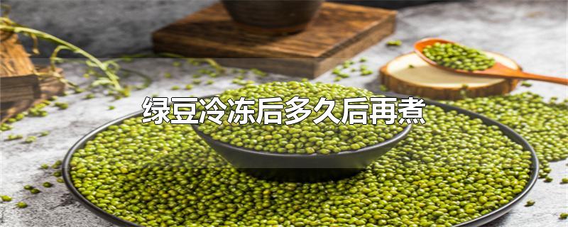 绿豆冷冻后多久后再煮-最新绿豆冷冻后多久后再煮整理解答