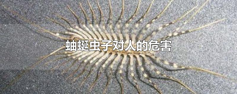 蚰蜒虫子对人的危害-最新蚰蜒虫子对人的危害整理解答