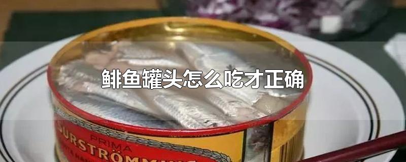 鲱鱼罐头怎么吃才正确-最新鲱鱼罐头怎么吃才正确整理解答