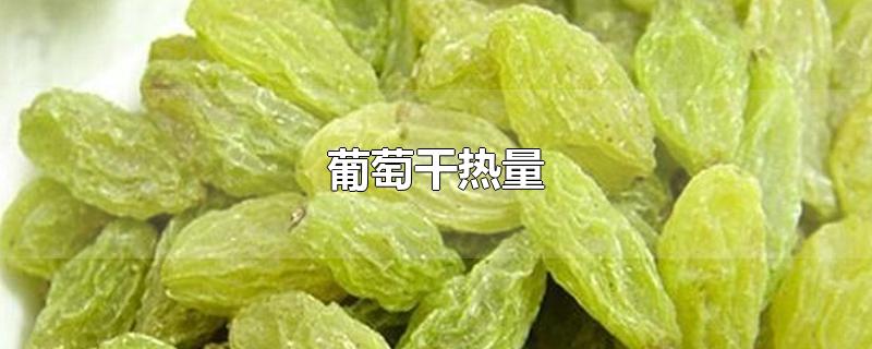 葡萄干热量