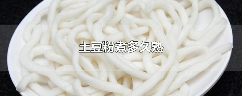 土豆粉煮多久熟