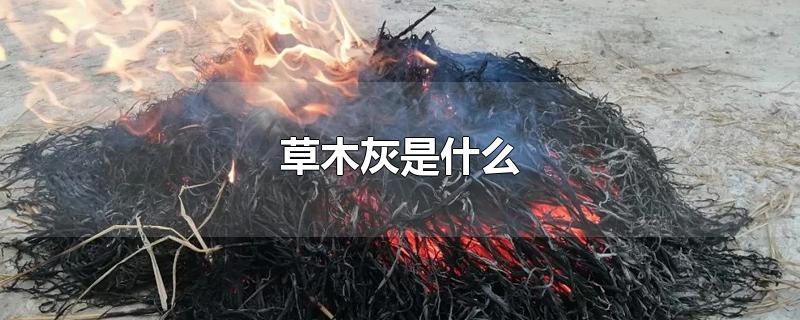 草木灰是什么-最新草木灰是什么整理解答