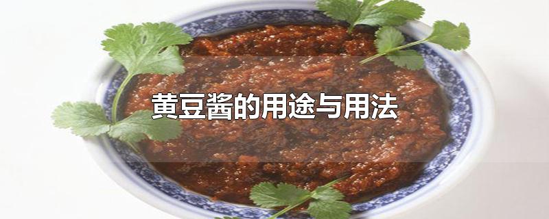 黄豆酱的用途与用法-最新黄豆酱的用途与用法整理解答