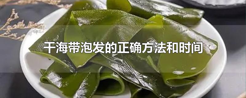 干海带泡发的正确方法和时间-最新干海带泡发的正确方法和时间整理解答