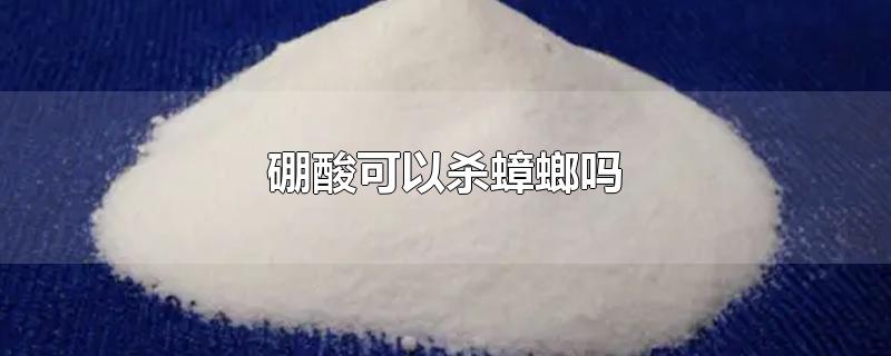 硼酸可以杀蟑螂吗-最新硼酸可以杀蟑螂吗整理解答