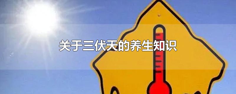 关于三伏天的养生知识-最新关于三伏天的养生知识整理解答