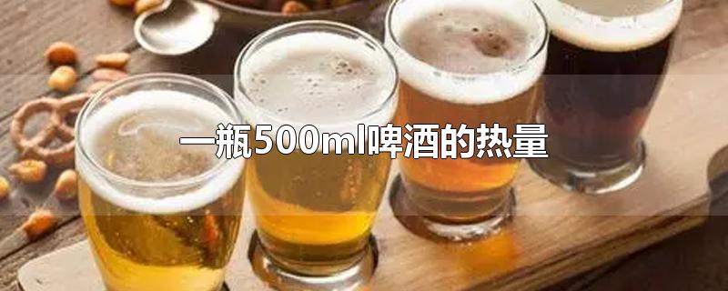 一瓶500ml啤酒的热量-最新一瓶500ml啤酒的热量整理解答