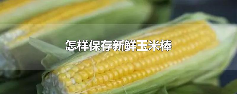 怎样保存新鲜玉米棒-最新怎样保存新鲜玉米棒整理解答