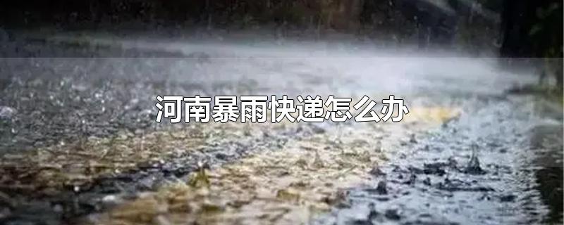 河南暴雨快递怎么办-最新河南暴雨快递怎么办整理解答