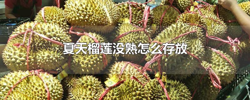 夏天榴莲没熟怎么存放