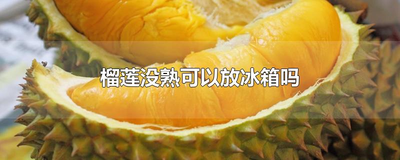 榴莲没熟可以放冰箱吗