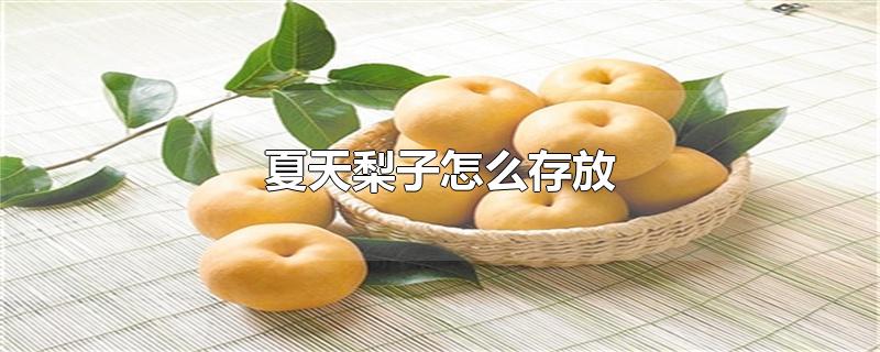 夏天梨子怎么存放