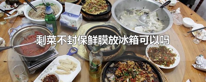 剩菜不封保鲜膜放冰箱可以吗-最新剩菜不封保鲜膜放冰箱可以吗整理解答