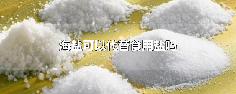 海盐可以代替食用盐吗-最新海盐可以代替食用盐吗整理解答