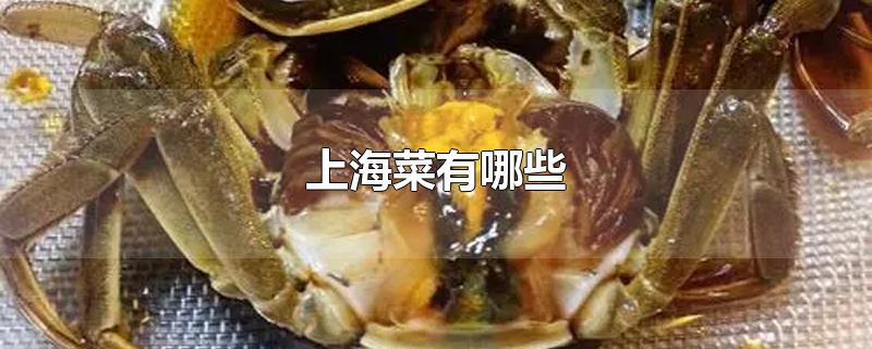 上海菜有哪些