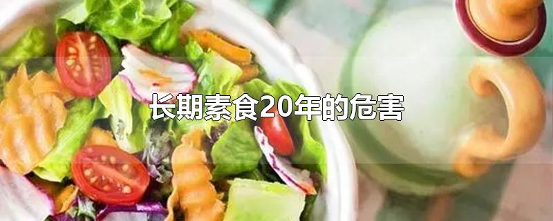 长期素食20年的危害-最新长期素食20年的危害整理解答