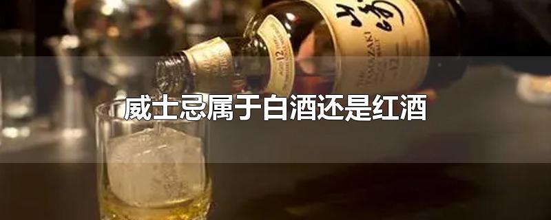 威士忌属于白酒还是红酒-最新威士忌属于白酒还是红酒整理解答