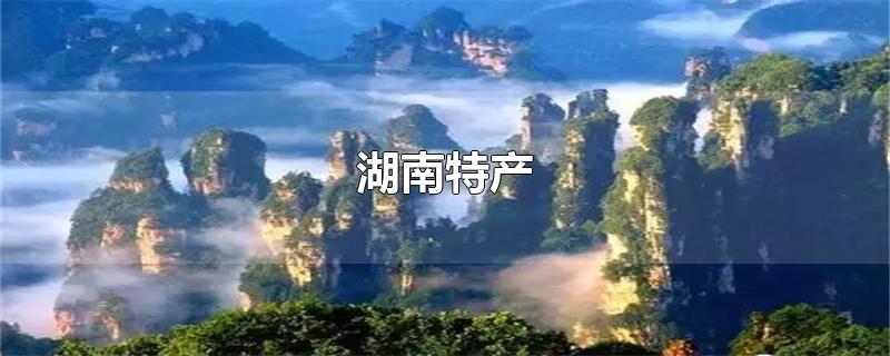 湖南特产-最新湖南特产整理解答